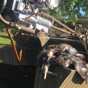 Meet your Posher, Austin